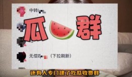 吃瓜群免费进入最新,揭秘吃瓜群免费进入的奥秘
